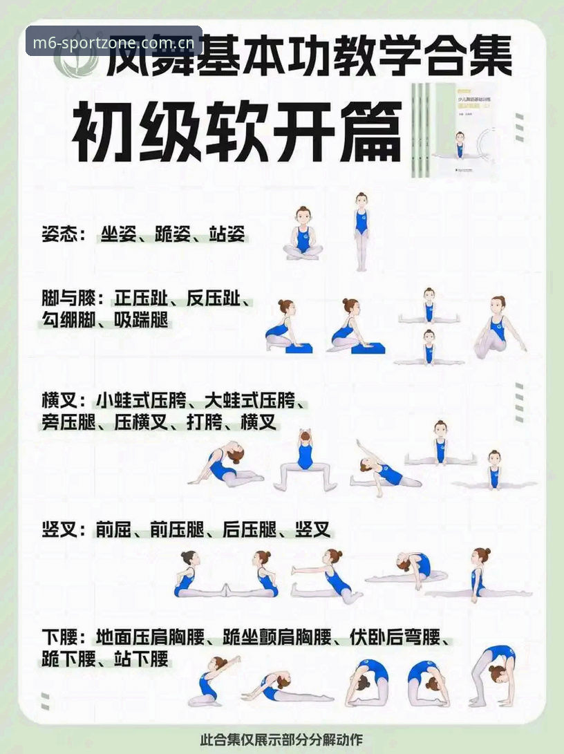 M6体育便捷体验必备知识：从入门到精通的完整实用指南